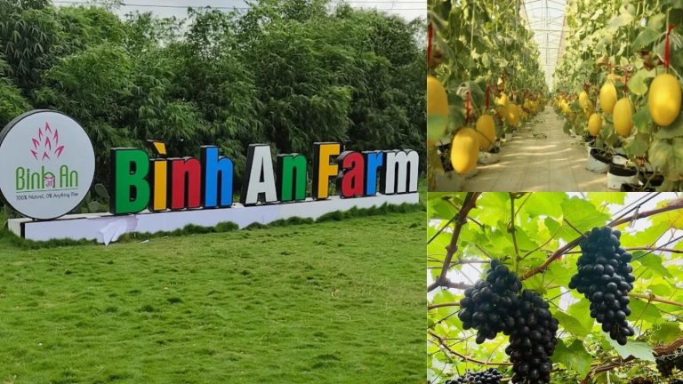 Binh An Farm